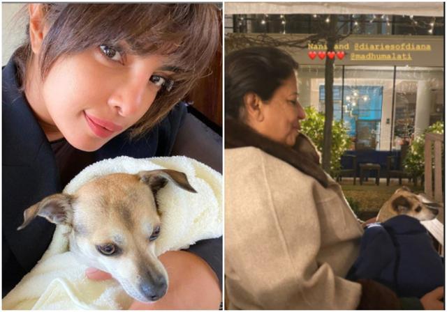 Priyanka Chopra and her mother Madhu Chopra with Diana. Priyanka Chopra and her mother Madhu Chopra with Diana.