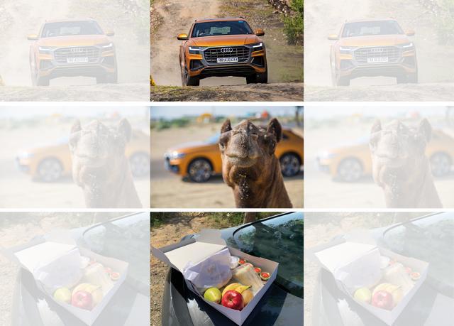 The Q8’s SUV factor comes in handy when exploring Rajasthan’s rugged environs best enjoyed these days with a packed lunch than dhaba food The Q8’s SUV factor comes in handy when exploring Rajasthan’s rugged environs best enjoyed these days with a packed lunch than dhaba food