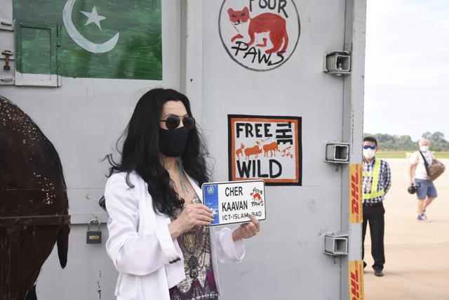 American icon Cher holds a welcoming sign for a rescued elephant named Kaavan arriving at the airport, Monday. (AP) American icon Cher holds a welcoming sign for a rescued elephant named Kaavan arriving at the airport, Monday. (AP)