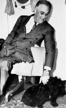 FILE - In this 1939, file photo President Franklin D. Roosevelt pets Fala, his Scottish terrier in Washington. The arrival of the Biden pets will also mark the next chapter in a long history of pets residing at the White House after a four-year hiatus during the Trump administration. “Pets have always played an important role in the White House throughout the decades,” said Jennifer Pickens, an author who studies White House traditions. (AP Photo, File) (AP) FILE - In this 1939, file photo President Franklin D. Roosevelt pets Fala, his Scottish terrier in Washington. The arrival of the Biden pets will also mark the next chapter in a long history of pets residing at the White House after a four-year hiatus during the Trump administration. “Pets have always played an important role in the White House throughout the decades,” said Jennifer Pickens, an author who studies White House traditions. (AP Photo, File) (AP)