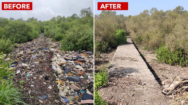 Another combination of a part of patch before and after the cleanliness drive. (Photo: Environment Life) Another combination of a part of patch before and after the cleanliness drive. (Photo: Environment Life)