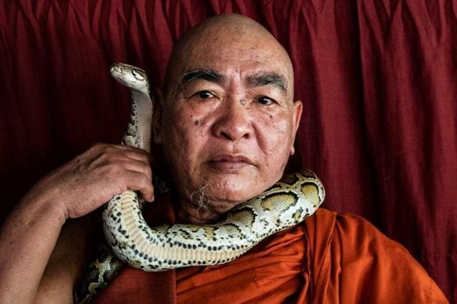 Buddhist monk Wilatha poses with a rescued Burmese python at his monastery that has turned into a snake sanctuary on the outskirts of Yangon, Myanmar. (REUTERS) Buddhist monk Wilatha poses with a rescued Burmese python at his monastery that has turned into a snake sanctuary on the outskirts of Yangon, Myanmar. (REUTERS)