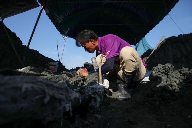 A Thai archaeologist uncovers a whale skeleton. (REUTERS) A Thai archaeologist uncovers a whale skeleton. (REUTERS)