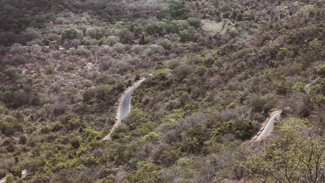 Ayyalur forest, Eastern Ghats (target habitat for SEEDS Trust, awarded Lesser-known Habitats Grant) (The Habitats Trust) Ayyalur forest, Eastern Ghats (target habitat for SEEDS Trust, awarded Lesser-known Habitats Grant) (The Habitats Trust)