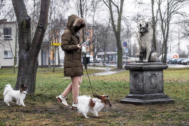 A woman walks with her dogs past the statue of the stray dog Zorik. (AP)