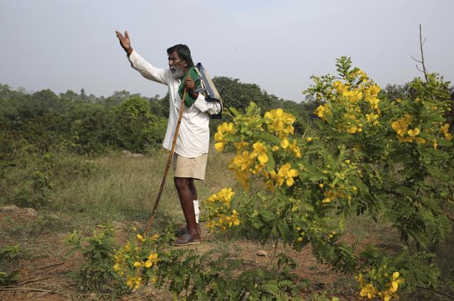 Kalmane Kamegowda, a 72-year-old shepherd, points towards one of the 16 ponds he created. (AP) Kalmane Kamegowda, a 72-year-old shepherd, points towards one of the 16 ponds he created. (AP)