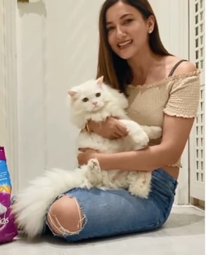 Gauahar Khan in her beige top (Instagram/gauaharkhan)