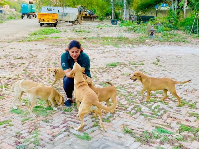 Jasleen Chadha is making ensuring that furry friends remain protected from the winter chill.