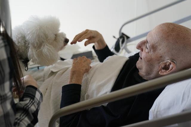 Jeff Philipson, 80, right, smiles as he visits with Zeus, a bichon frise. (AP) Jeff Philipson, 80, right, smiles as he visits with Zeus, a bichon frise. (AP)