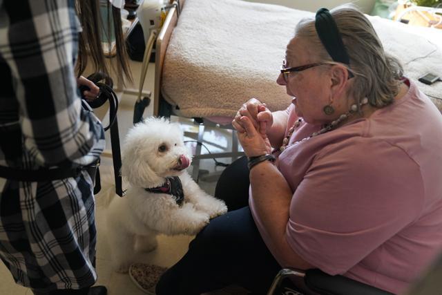 Eileen Nagle, 79, talks with Zeus, the dog. (AP) Eileen Nagle, 79, talks with Zeus, the dog. (AP)