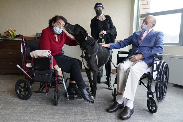 Sal Markowitz, 96, right, and Sandra Greer, 82, left, visits with Marley, a Great Dane,. (AP) Sal Markowitz, 96, right, and Sandra Greer, 82, left, visits with Marley, a Great Dane,. (AP)