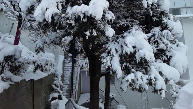 Mercury in Pahalgam tourist resort in south Kashmir settled at minus 3 degrees Celsius. (HT Photo) Mercury in Pahalgam tourist resort in south Kashmir settled at minus 3 degrees Celsius. (HT Photo)