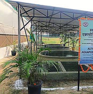 The new aquaponics vertical farming system that came up at the varsity in September. The new aquaponics vertical farming system that came up at the varsity in September.