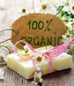 The need to have natural and healthy food promoted a higher consumption of organic products amid the pandemic. (Photo: Shutterstock) The need to have natural and healthy food promoted a higher consumption of organic products amid the pandemic. (Photo: Shutterstock)