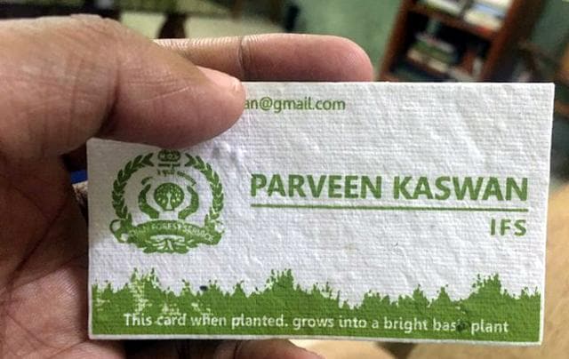 Seed-based visiting and wedding cards also gained popularity in a drive towards sustainability. (Photo: Twitter) Seed-based visiting and wedding cards also gained popularity in a drive towards sustainability. (Photo: Twitter)