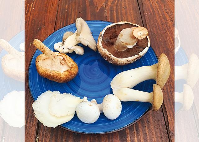 The vegetables from Krishi Cress can be fresh and distinctive