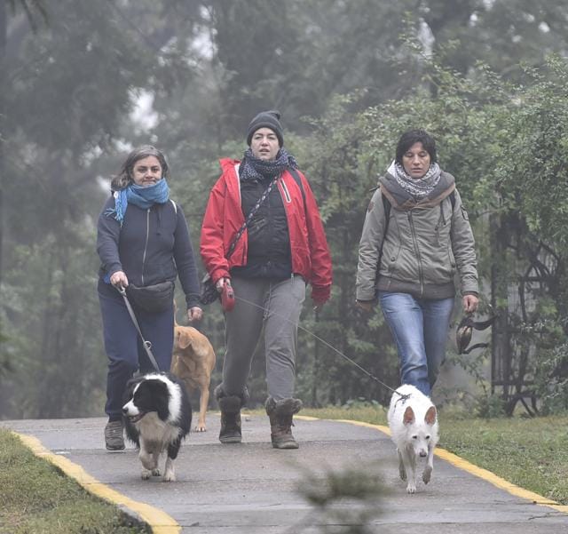 The greenery at Nehru Park, and the new synthetic track, make it an ideal space for fitness enthusiasts. (Photo: Sanjeev Verma/HT (Photo for representational purposes only)) The greenery at Nehru Park, and the new synthetic track, make it an ideal space for fitness enthusiasts. (Photo: Sanjeev Verma/HT (Photo for representational purposes only))