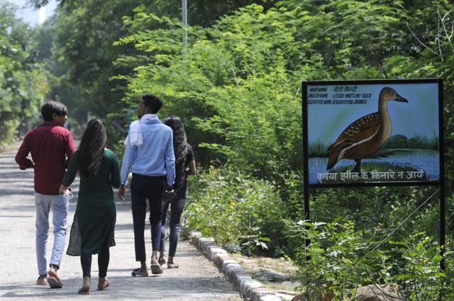 After spending most of the time indoors, a number of denizens have taken to enjoy the sight of migratory birds at Okhla Bird Sanctuary. (Photo: Sunil Ghosh/HT ) After spending most of the time indoors, a number of denizens have taken to enjoy the sight of migratory birds at Okhla Bird Sanctuary. (Photo: Sunil Ghosh/HT )