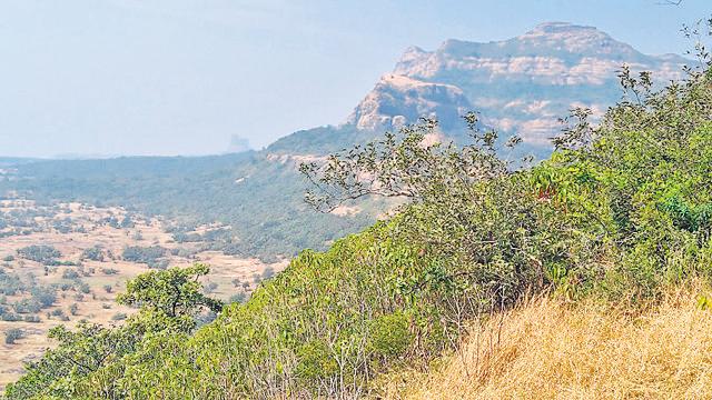 Plus Valley Adventure to hold trek to Andharban in Sahyadri. (HT PHOTO)