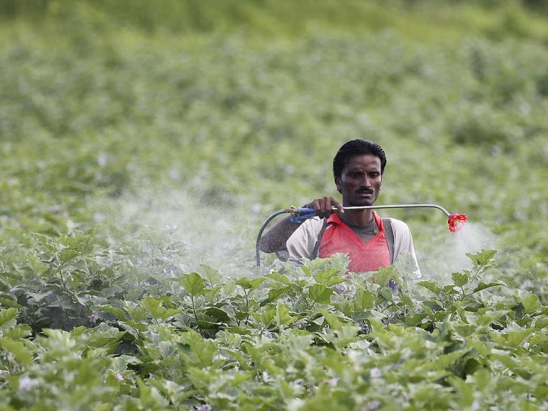 Is #39 Monocrotophos #39 a banned pesticide responsible for mid day meal