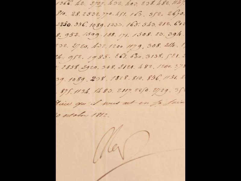 Napoleon essay 3 07 image