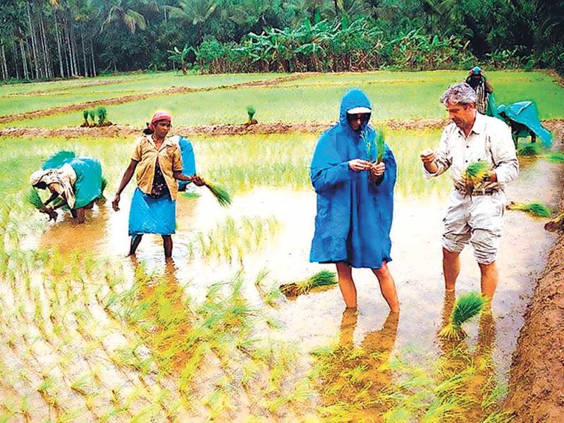 Two States Kerala Gujarat And Their Development Hindustan Times Kerala is quite developed in agriculture, education and health care. two states kerala gujarat and their