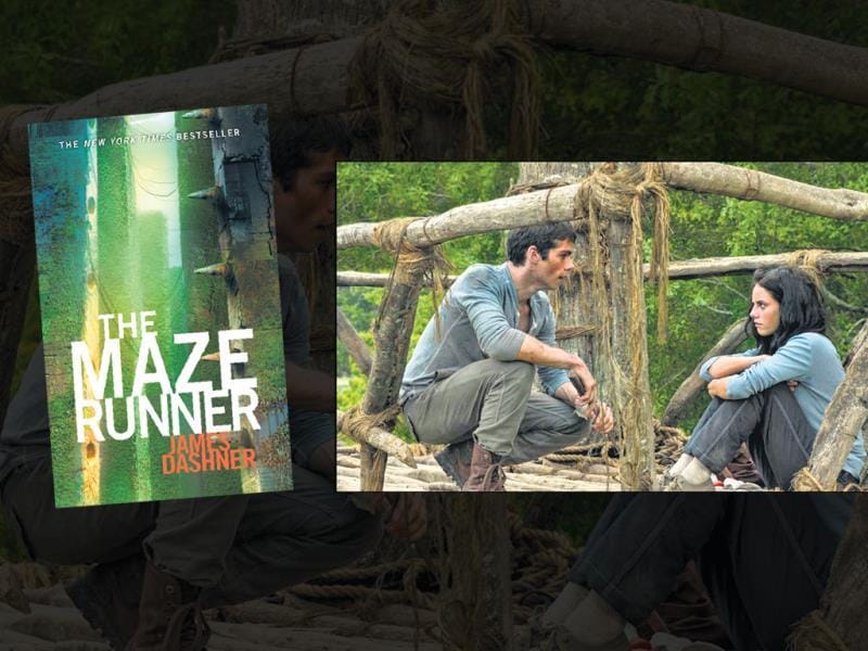 Buy Maze Runner in Forest