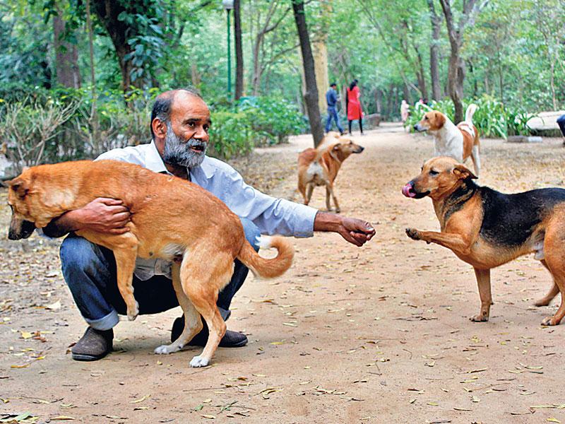 Maneka gandhi animal hospital shop