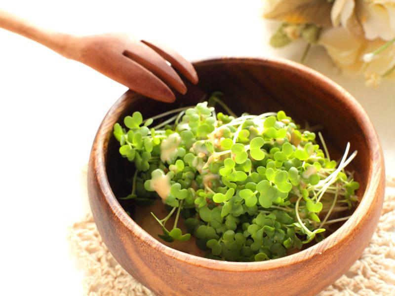 Have broccoli sprout extract to prevent cancer Health Hindustan Times