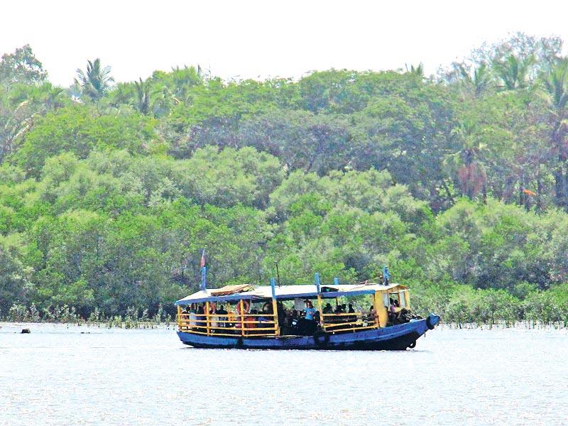 Ferry Tale The Next Time You Are In Mumbai Try Out These Rides Hindustan Times Ordinary ferry is divided into two classes, namely ordinary class and deluxe class. ferry tale the next time you are in