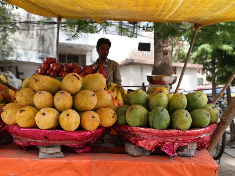 Pinjore Mango Mela starts on Friday Hindustan Times