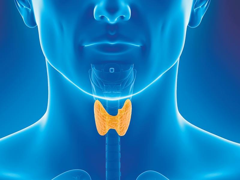 Thyroid imbalances in men go unnoticed as men often put the symptoms down to stress and don't avail treatment. (Shutterstock) Thyroid imbalances in men go unnoticed as men often put the symptoms down to stress and don't avail treatment. (Shutterstock)
