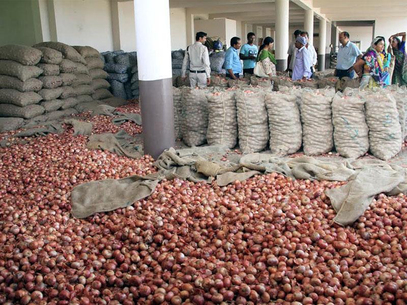 9,000 sacks of onions found in godown raids in Indore Hindustan Times