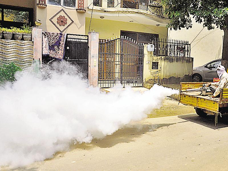 Gurgaon feels the sting with 257 dengue cases Hindustan Times