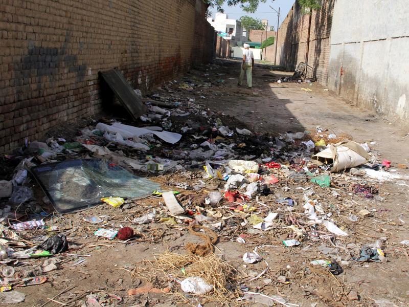 Bathinda city essay picture