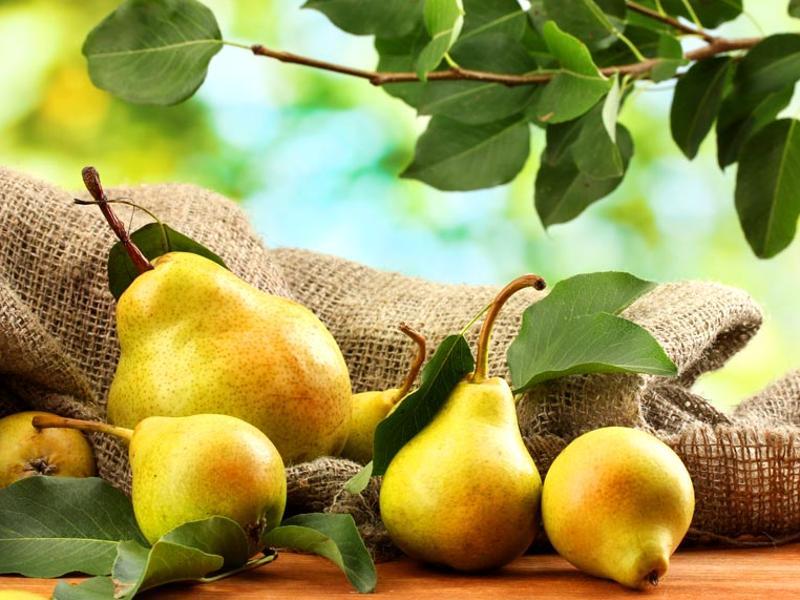 New weightloss super fruit Add sweet pears to your platter Health Hindustan Times