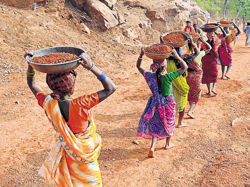 Like it or not, reports show people want MNREGA jobs Hindustan Times