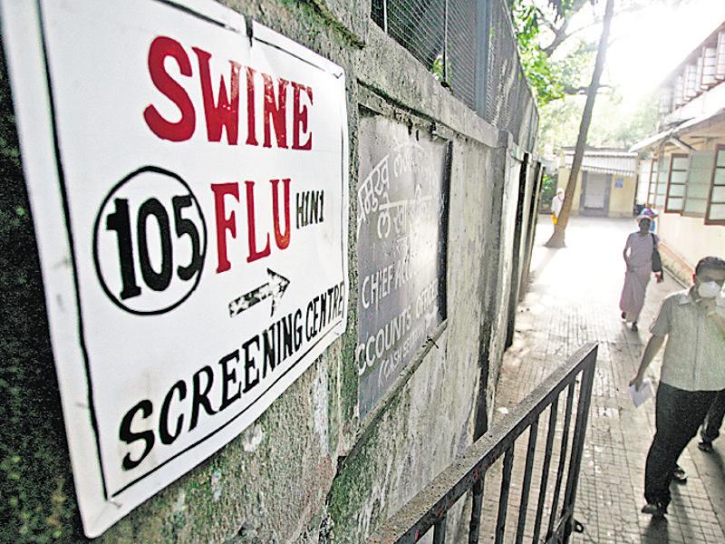 Swine Flu Killed 905 People In Maharashtra In 2015 Mumbai News Hindustan Times 