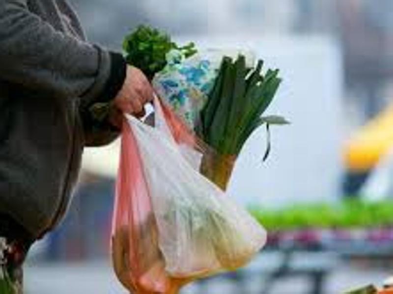 NGT for complete ban on plastic bags in Punjab, Haryana Hindustan Times