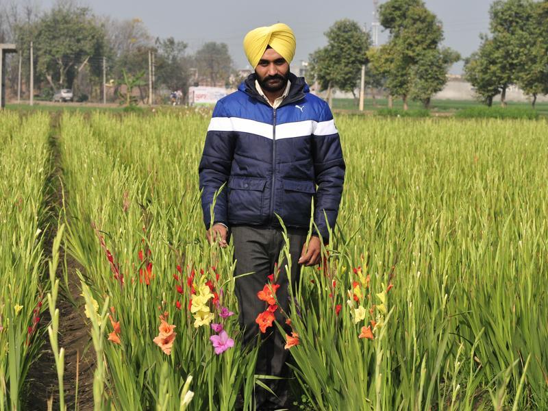 flower farming business plan in india