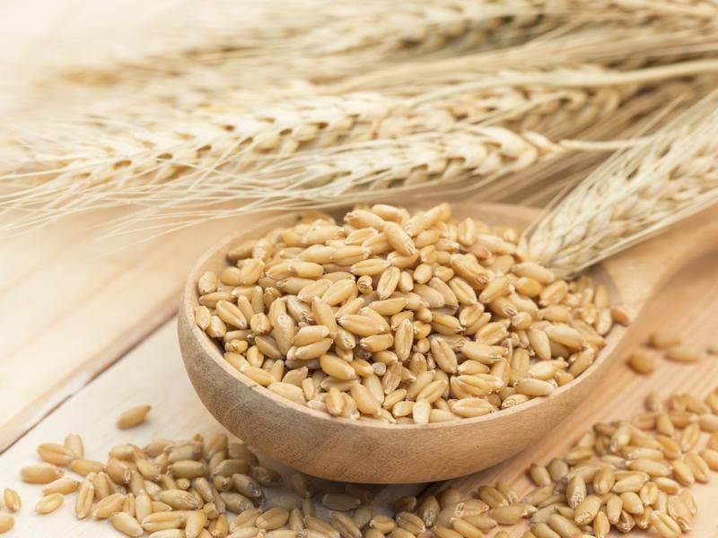 good-news-eat-barley-to-beat-diabetes-reduce-blood-sugar-health-hindustan-times