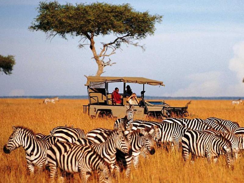 essay about wildlife and tourism in kenya