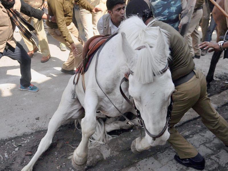 Beast of a nation What Shaktiman’s death says about India Hindustan