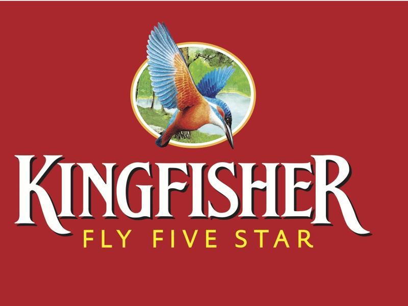 Bird Kingfisher Logo