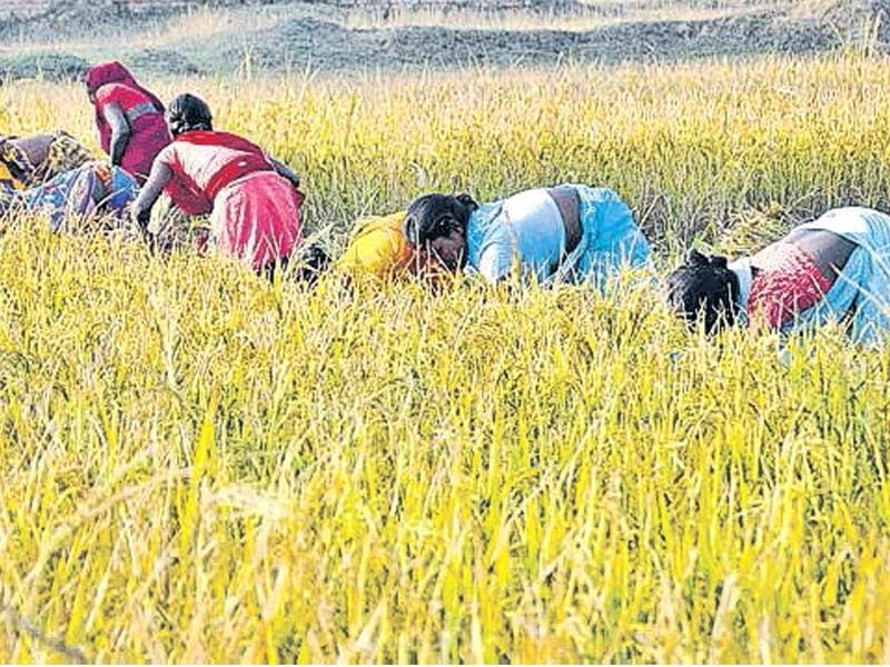 Jharkhand Commercial use of tribal land gets approval