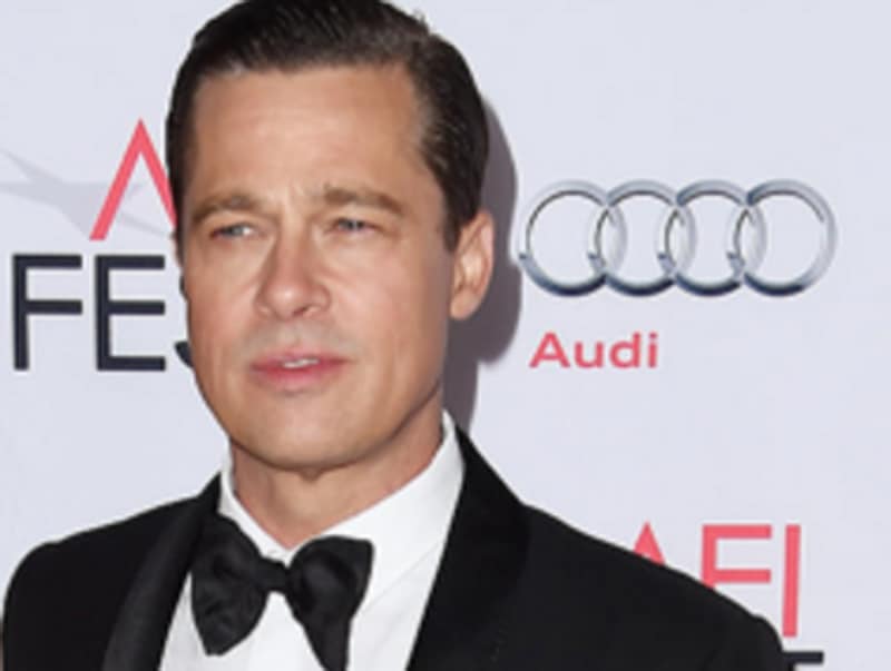 here s why a new species of wasp was named after brad pitt hollywood hindustan times