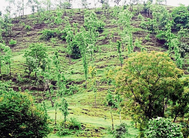 Japan erupts in anger over boy abandoned in forest for being ...