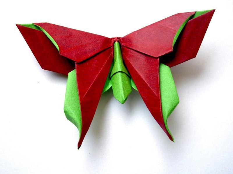 A beginner's guide to origami - Hindustan Times