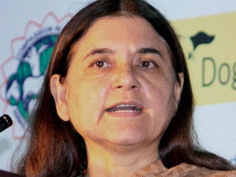 Govt Will Help Women Trapped In Abusive Marriages To NRI Men Maneka Latest News India 