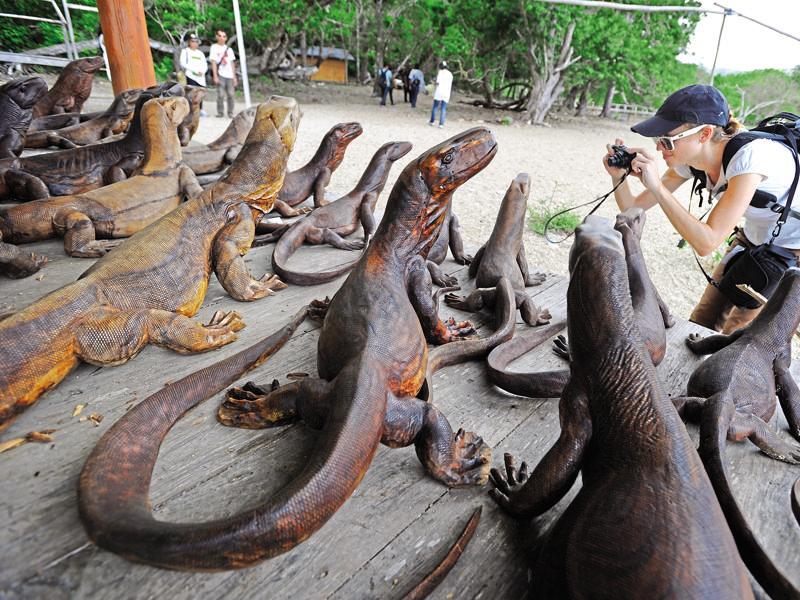 A hike in the wild to meet the dragons | Hindustan Times